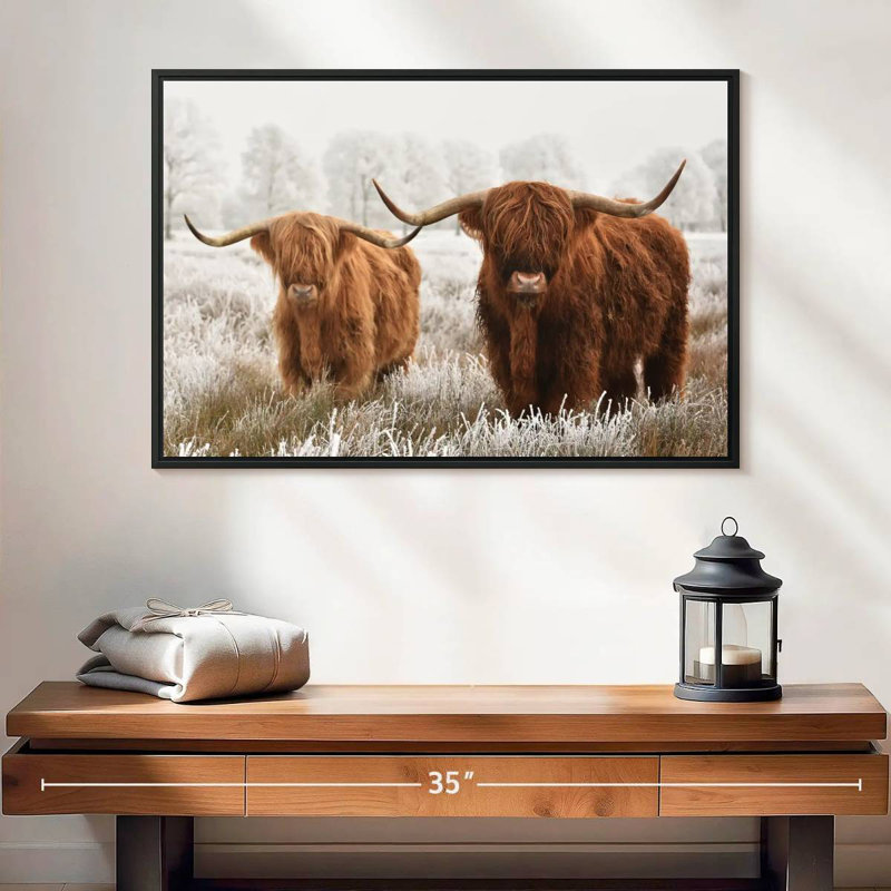 Hairy Scottish Highland Cows, 17" H x 25" W