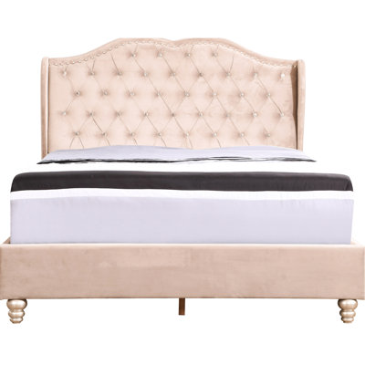 Transitional Queen Upholstered Bed - Beige, Velvet, Quality With Base Beige