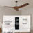 SkyFan  Perseus 52" 3-Blade Ceiling Fan