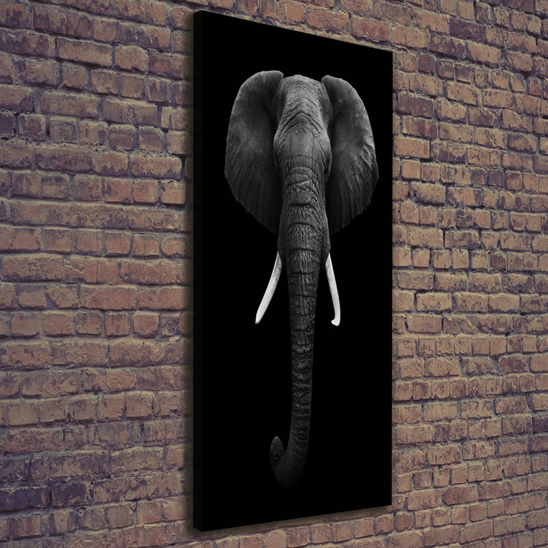 African Elephant - Wrapped Canvas Print