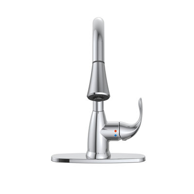 Vetta Pull Down Kitchen Faucet