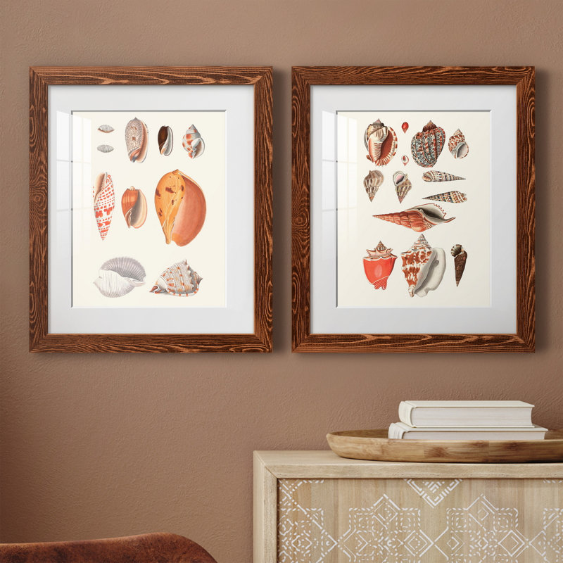 Toile encadrée de qualité supérieure Shell - prêt à accrocher, H 24 po x l 36 po x P 1,5 po, Papier avec cadre érable, Blanc