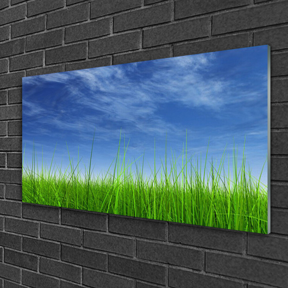 Glasbild Sky Grass Nature