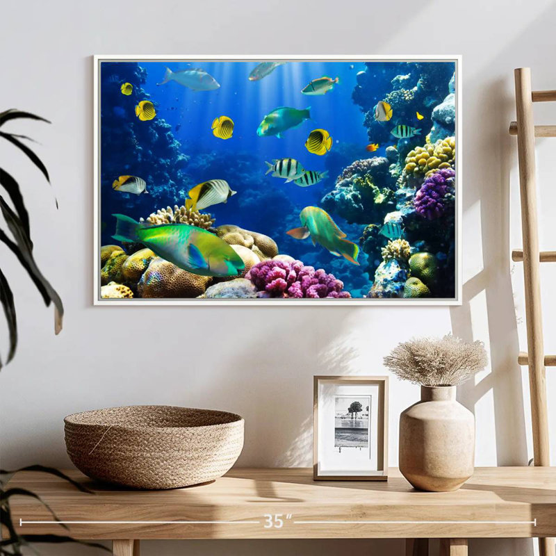 Underwater Sea Creatures, Floating Frame White, 25" X 17"