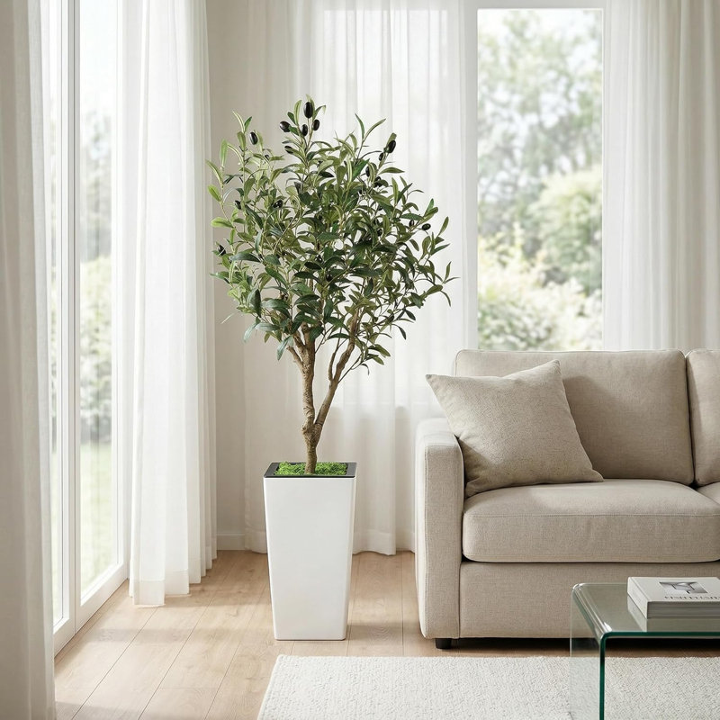 Plant