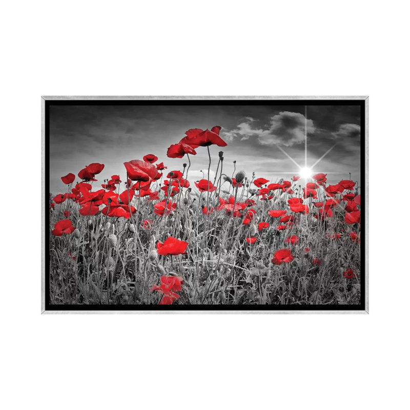 "Champ de coquelicots" par Melanie Viola-impression d’art graphique, Pas de tapis, H 40 po x l 60 po x P 1,5 po