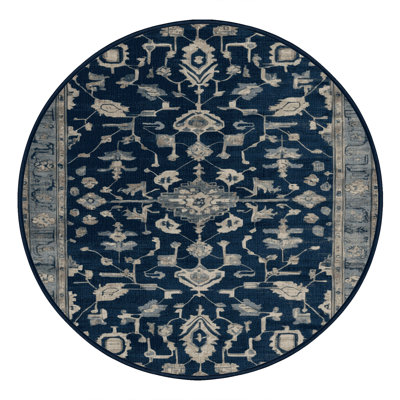 Machine Washable Overdyed Blue Area Rug