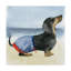 « hot dog iv », peinture sur toile tendue-95724229