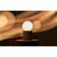 Castle Muse Desk Table Lamp