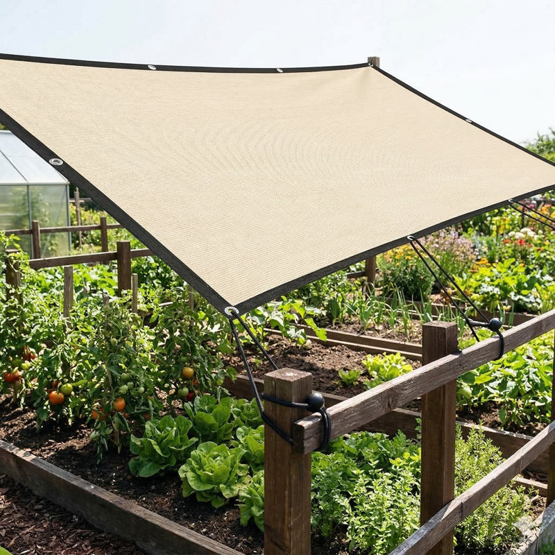 Sun Shade Sail, 2m W x 3m L