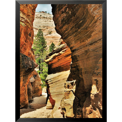 Zion Canyon by Joseph Elliot - Photograph