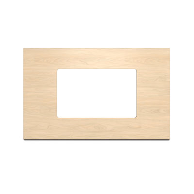 TV Panel