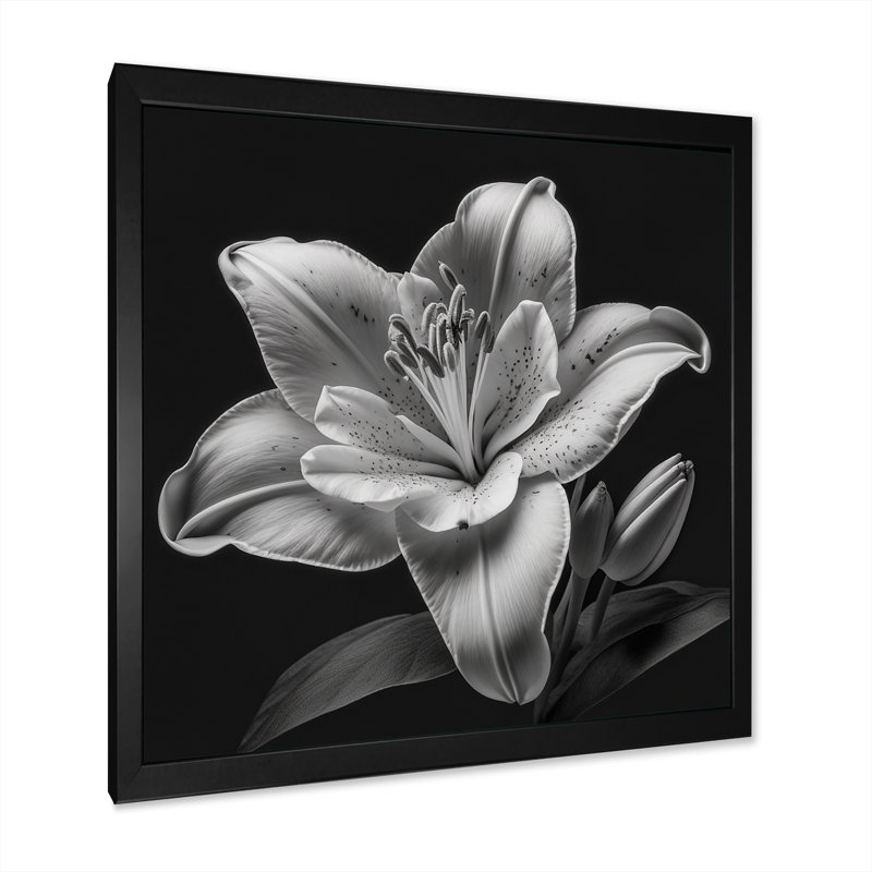 Orchidée blanche monochrome - photographie sur toile, Impression noire sur toile encadrée, H 16 po x l 16 po x P 1 po