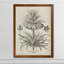 «Fresco Crown Imperial III» par Paul Cezanne - reproduction d'art encadrée-1138327999-1138327940