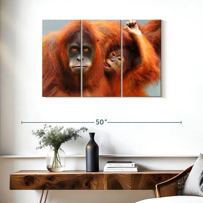 Orangs-outans de Sumatra, H 24 po x l 38 po