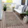  Machine Washable Indoor/Outdoor Chayden ACN1030 Rug