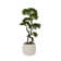 Artificial Bonsai Tree In A Shell Designed Fiberstone Planter