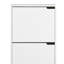 Perao 12 Pair Shoe Storage Cabinet