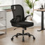 Rupesh Mesh Office Chair With Lumbar Support-1878451927