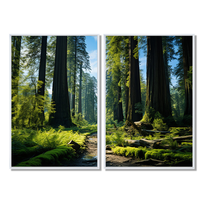 Redwood Giants Tree Forest II - art mural traditionnel multicolore, H 36 po x l 48 po, Blanc