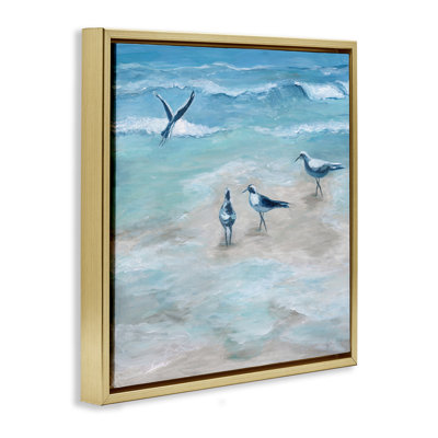 Mouettes côtières sur la plage