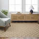 Abbie Black, Tan Rug
