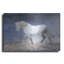 «Horse In The Fog Mist 3» par Irena Orlov-2695093
