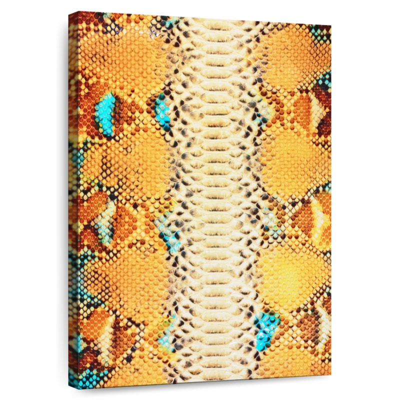 Brampt Python Snake Skin, 39" H x 26" W