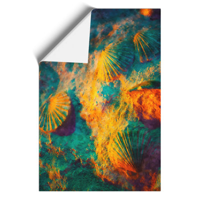 Shells On The Beach Vo.1 - No Frame Print