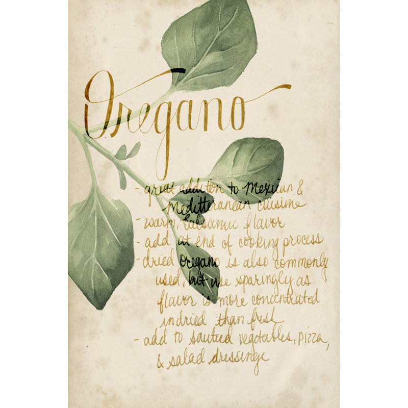 Herb Study III by Grace Popp - Wrapped Canvas Print, 46cm H x 30cm W 