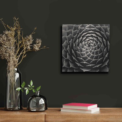 «Succulent» par Gary Horsfall