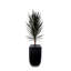Faux Yucca Plant in Planter