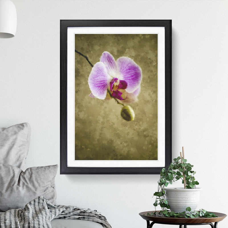 Orchid Flowers Vol.6 - Framed Print, Black Framed, 36cm H x 27cm W x 2cm D