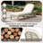 78"L Acacia Solid Wood Patio Chaise Lounge, With Cushion And 5-Position Adjustable Arched Backrest, Curved Reclining Lounge Chair For Poolside, Deck Or Backyard-632165055-632165053
