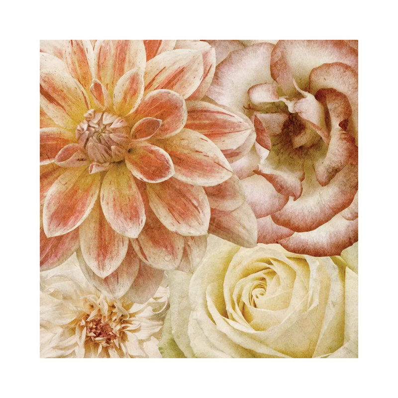 Beautiful Quartet II by Alonzo Saunders - Wrapped Canvas Print, 93.98 cm H x 93.98 cm W x 1.91 cm D