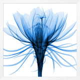 Hand-Picked Blue 2' Framed Graphic Art Print on Glass