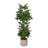 82'' Faux Palm Tree in Wicker/Rattan Basket-659100001