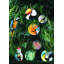 Olhar O Brasil Porcelain China Charger
