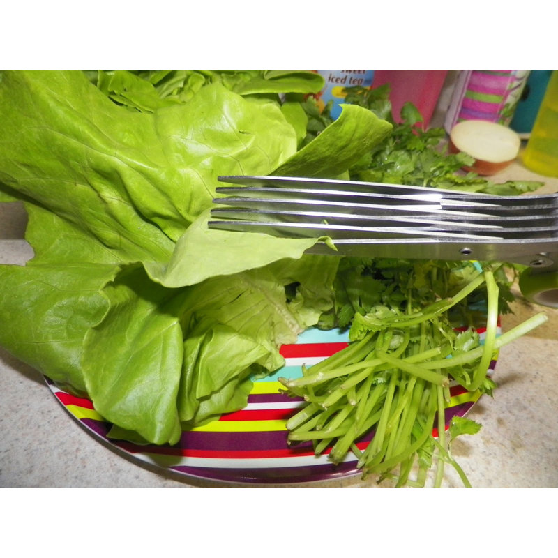 Cuisinox Herb Shears