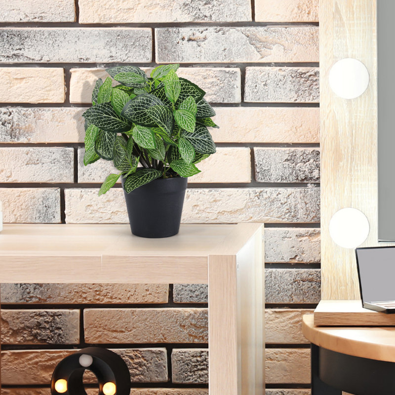 Plante artificielle en pot Fittonia