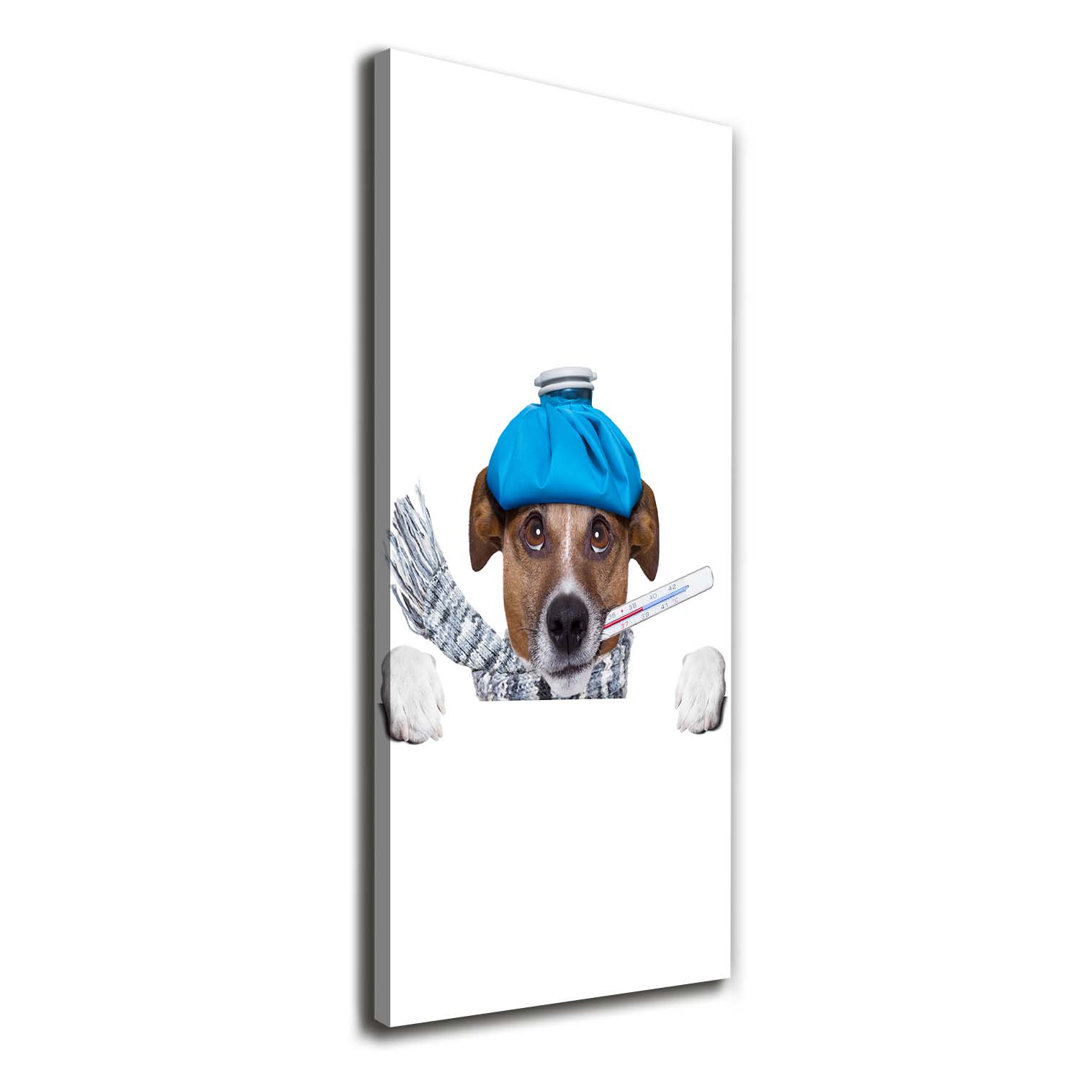 Kranker Hund - Kunstdrucke auf Leinwand - Wrapped Canvas