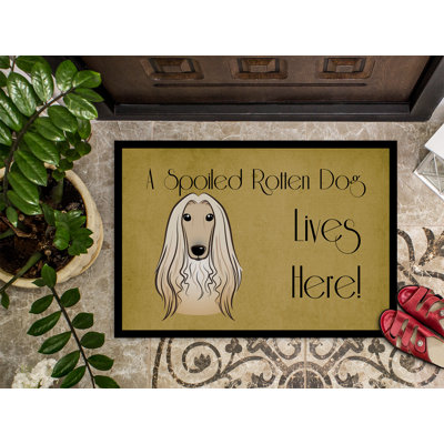 Non-Slip Outdoor Doormat