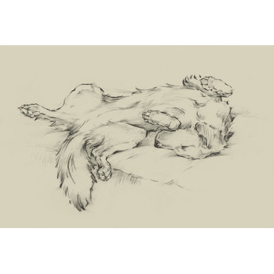 Chien fatigué II
