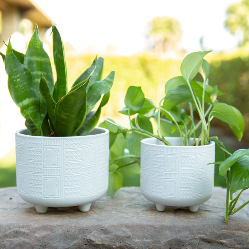Gisselle Ceramic Planter