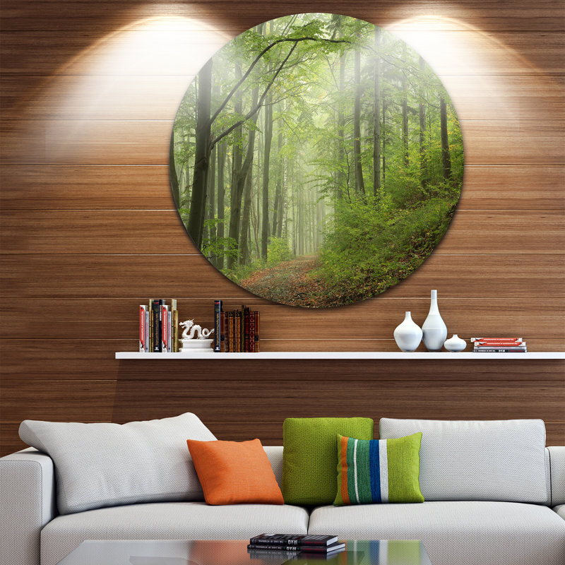« early green automne forest », reproduction de photo sur métal, H 23 po x l 23 po x P 1 po
