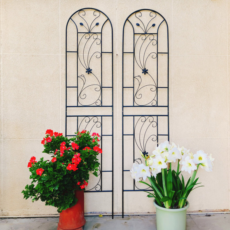 2 Pack Metal Garden Trellis 86.7" X 19.7" Rustproof Trellis For Climbing Plants Outdoor Flower Support Peacock Style