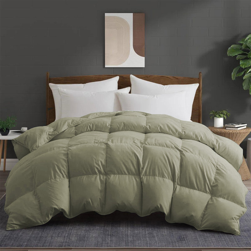 Premium All Season Down Feather Fiber Comforter Duvet Insert, Twin, Sage