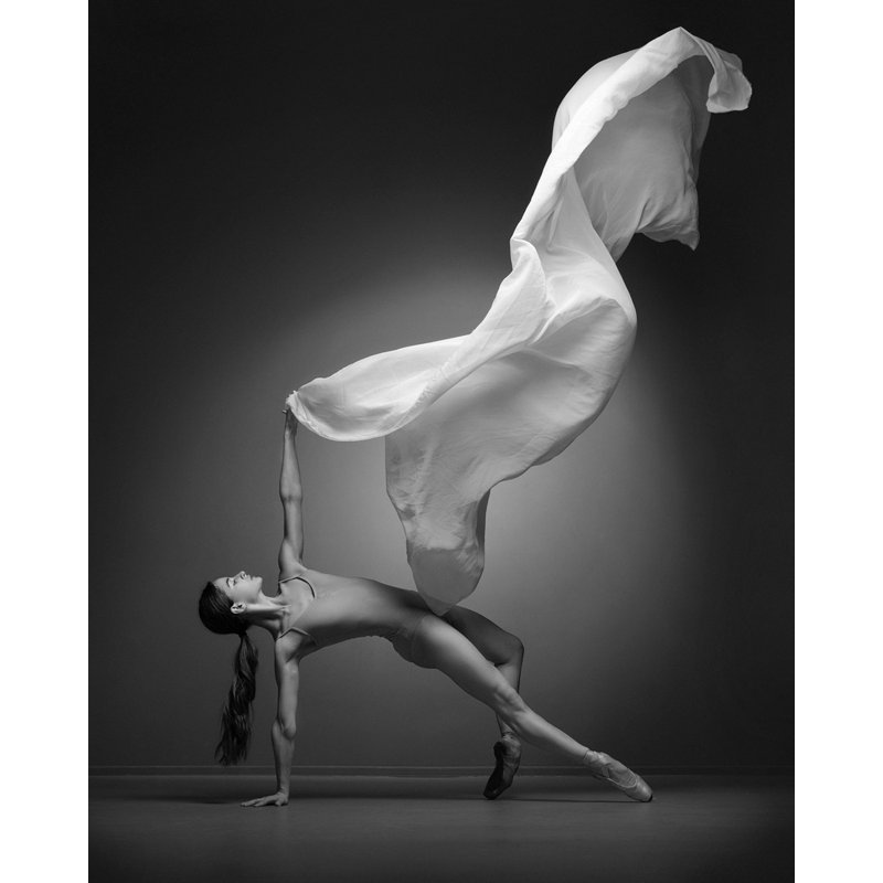 Wrapped Canvas Print, 50.8 cm H x 76.2 cm W