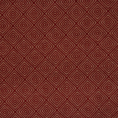 Allure Fabric