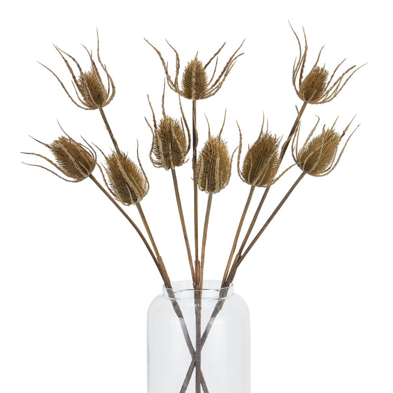 Arrangement